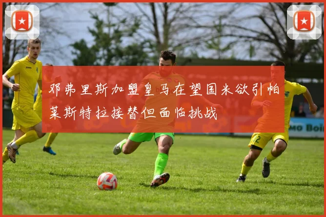 邓弗里斯加盟皇马在望国米欲引帕莱斯特拉接替但面临挑战