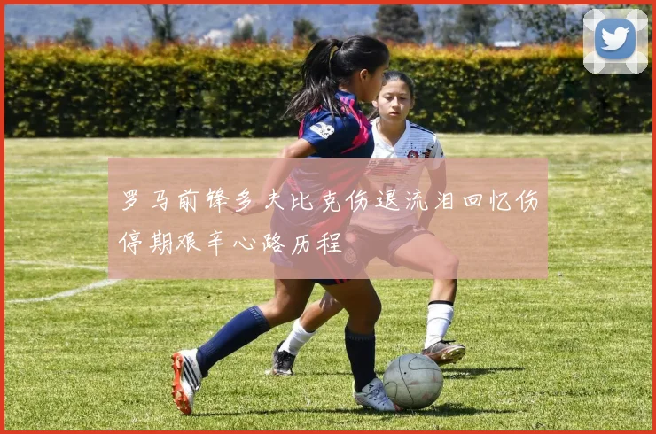 罗马前锋多夫比克伤退流泪回忆伤停期艰辛心路历程
