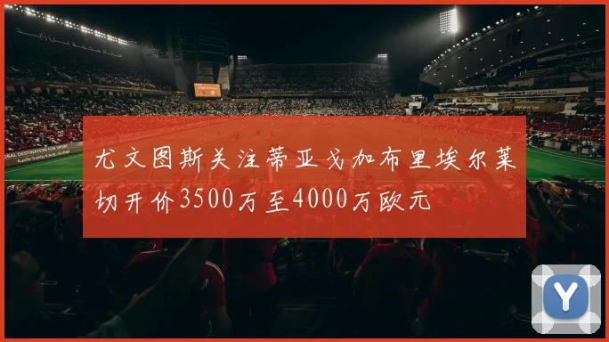 尤文图斯关注蒂亚戈加布里埃尔莱切开价3500万至4000万欧元